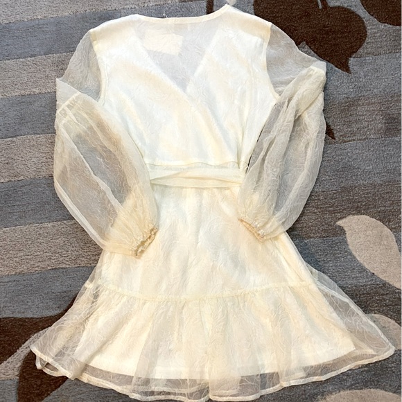 Anthropologie I Champagne and Strawberry Embossed Organza Faux Wrap Mini Dress - Picture 7 of 7
